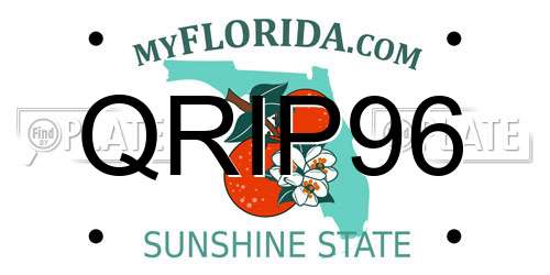 QRIP96 Florida License Plate