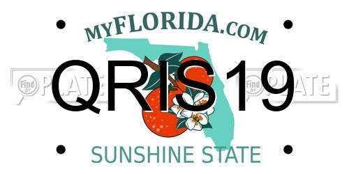 QRIS19 Florida License Plate