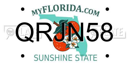 QRJN58 Florida License Plate