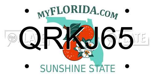 QRKJ65 Florida License Plate