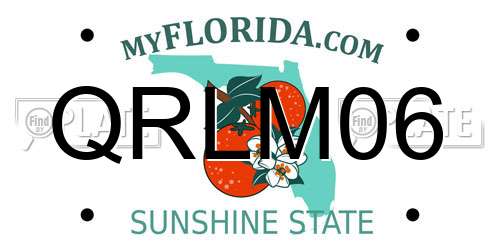 QRLM06 Florida License Plate