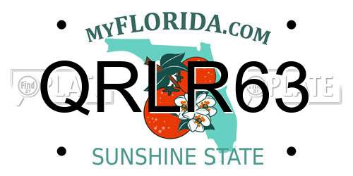QRLR63 Florida License Plate