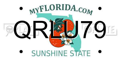 QRLU79 Florida License Plate