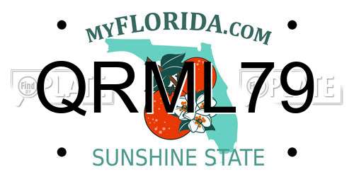 QRML79 Florida License Plate