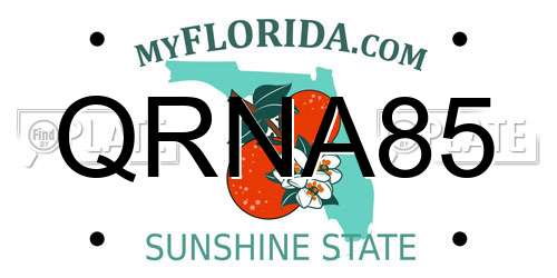 QRNA85 Florida License Plate