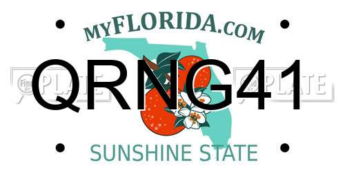 QRNG41 Florida License Plate