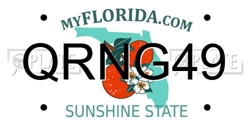 QRNG49 Florida License Plate