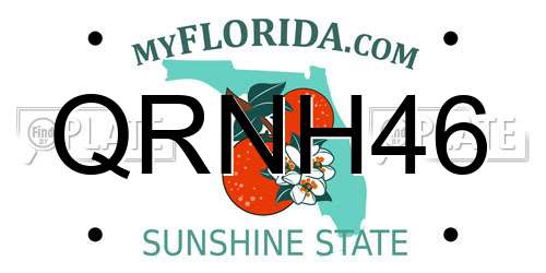 QRNH46 Florida License Plate