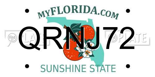 QRNJ72 Florida License Plate