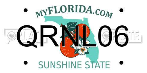 QRNL06 Florida License Plate