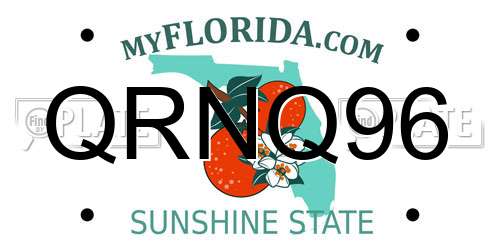 QRNQ96 Florida License Plate