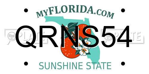 QRNS54 Florida License Plate