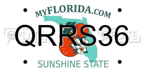 QRRS36 Florida License Plate