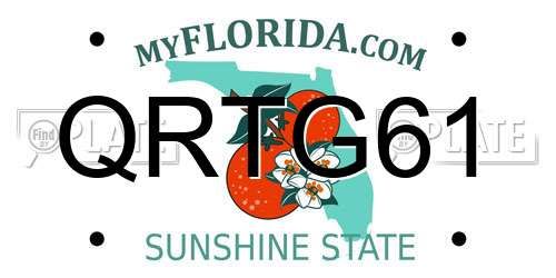QRTG61 Florida License Plate