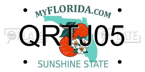QRTJ05 Florida License Plate