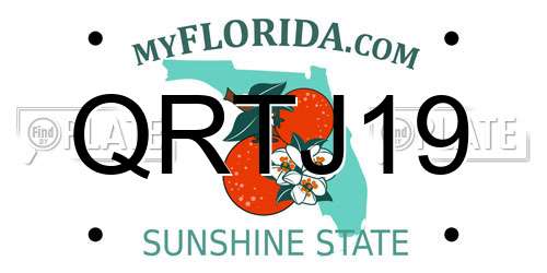 QRTJ19 Florida License Plate