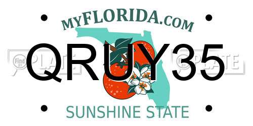 QRUY35 Florida License Plate