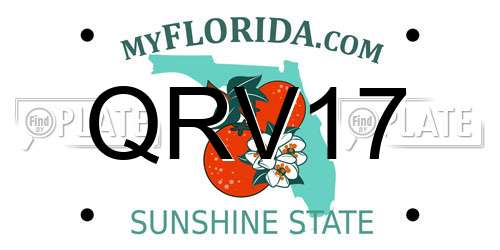 QRV17 Florida License Plate