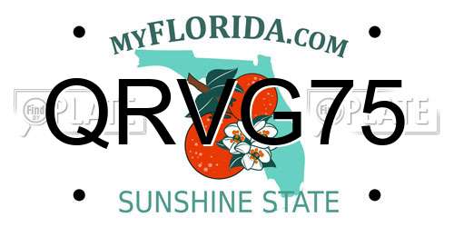 QRVG75 Florida License Plate
