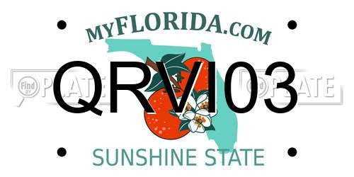 QRVI03 Florida License Plate