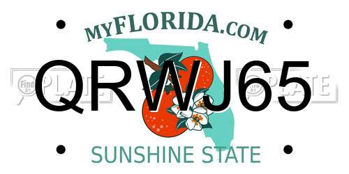 QRWJ65 Florida License Plate