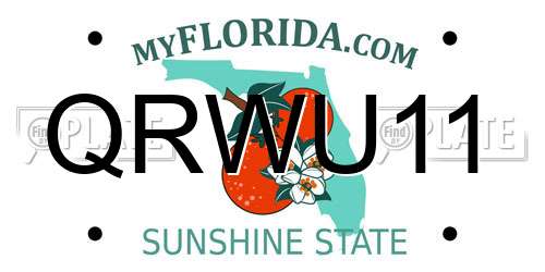 QRWU11 Florida License Plate
