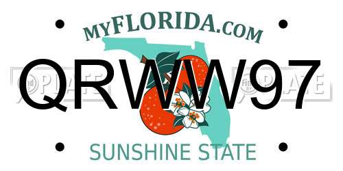 QRWW97 Florida License Plate