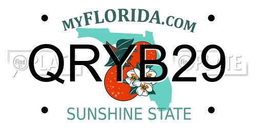 QRYB29 Florida License Plate