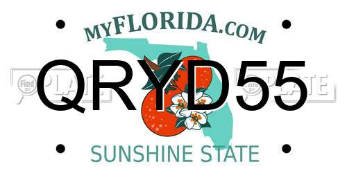 QRYD55 Florida License Plate