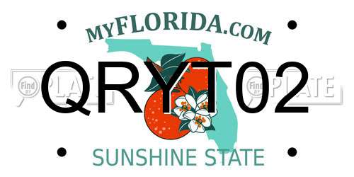 QRYT02 Florida License Plate