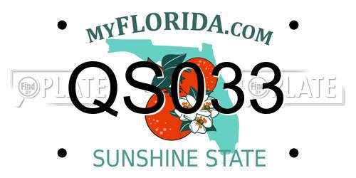 QS033 Florida License Plate