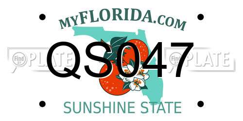 QS047 Florida License Plate