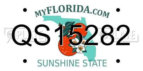 QS15282 Florida License Plate