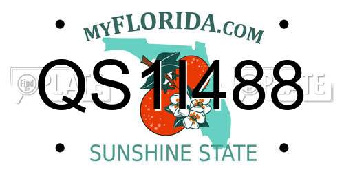 QS1I488 Florida License Plate