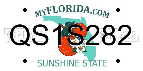 QS1S282 Florida License Plate