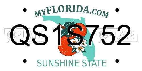 QS1S752 Florida License Plate