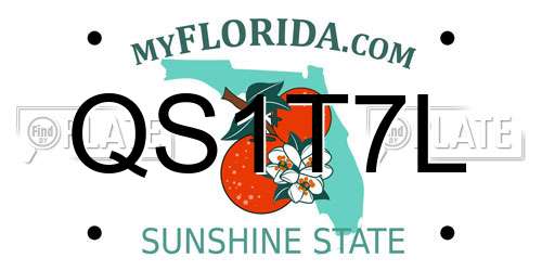 QS1T7L Florida License Plate