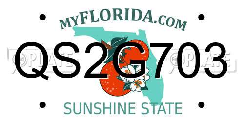 QS2G703 Florida License Plate