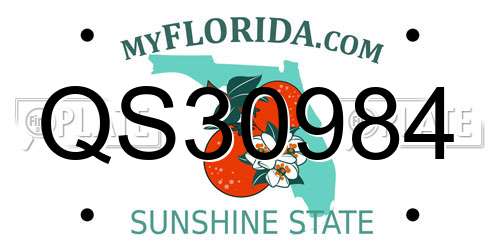 QS30984 Florida License Plate