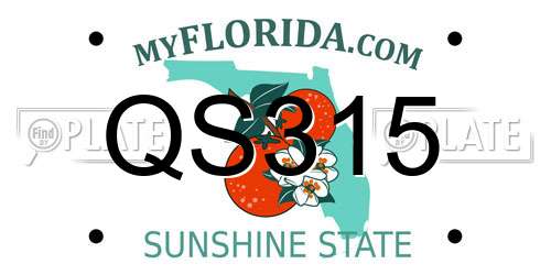 QS315 Florida License Plate