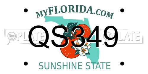 QS349 Florida License Plate