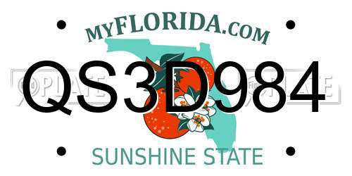 QS3D984 Florida License Plate