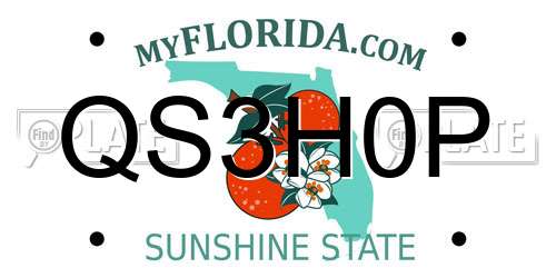 QS3H0P Florida License Plate