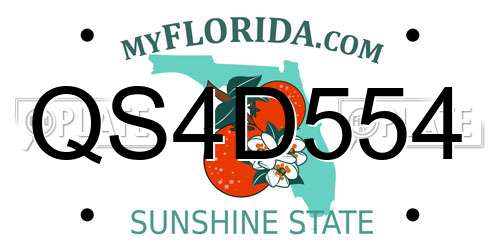 QS4D554 Florida License Plate