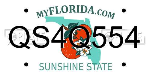 QS4Q554 Florida License Plate