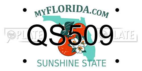 QS509 Florida License Plate