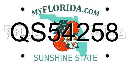 QS54258 Florida License Plate