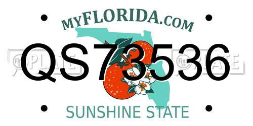 QS73536 Florida License Plate