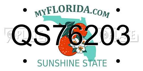QS76203 Florida License Plate