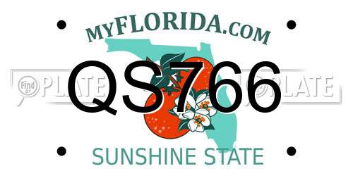 QS766 Florida License Plate